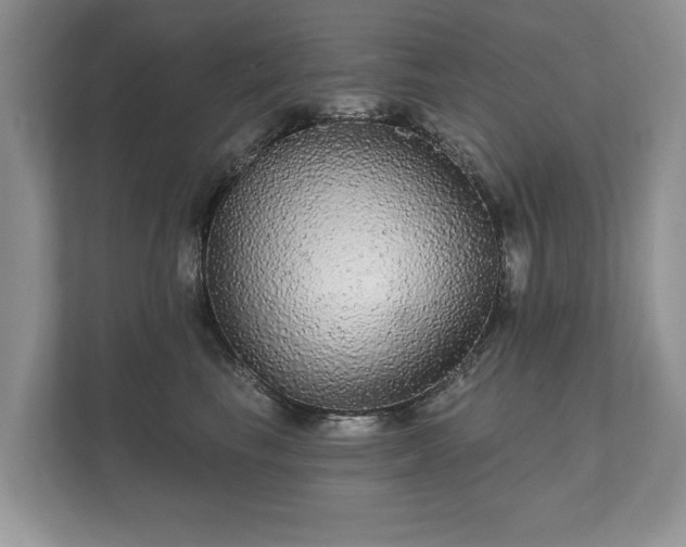 X0000112430665200908211201