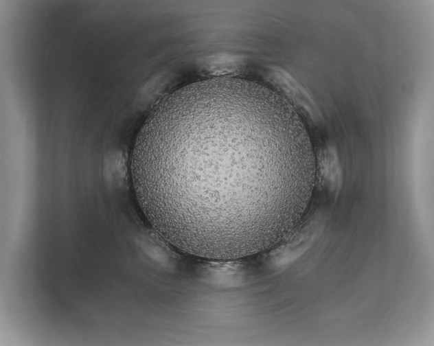 X0000112430667200908211202