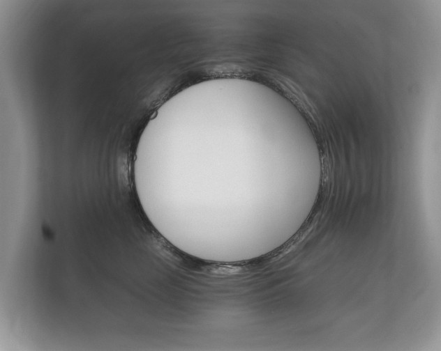 X0000112430669200908211202