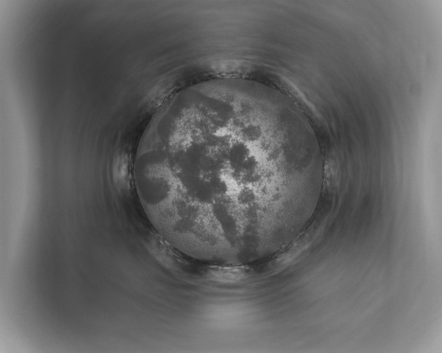 X0000112430671200908211202
