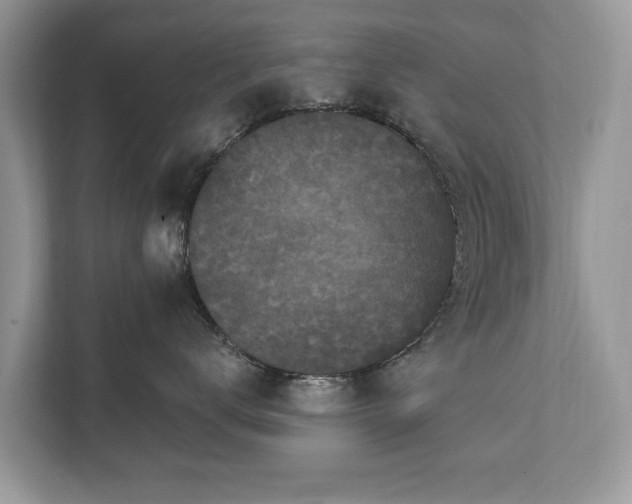 X0000112430672200908211202