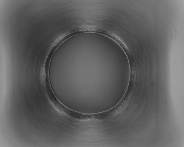 X0000112430674200908211201