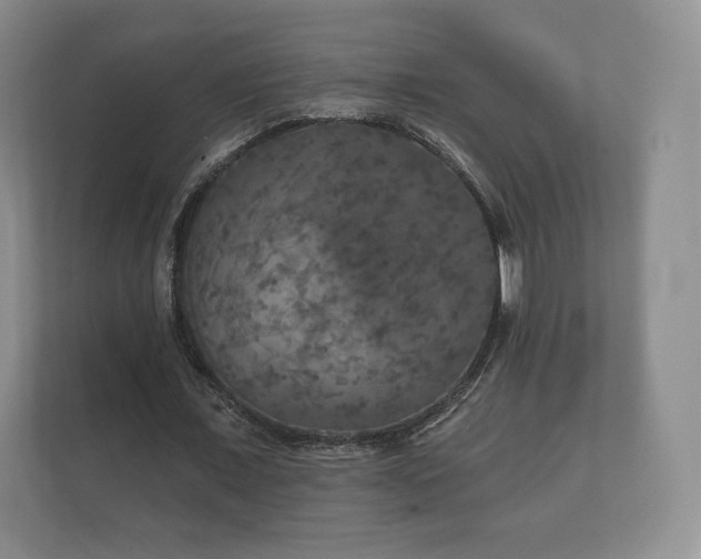 X0000112430675200908211201