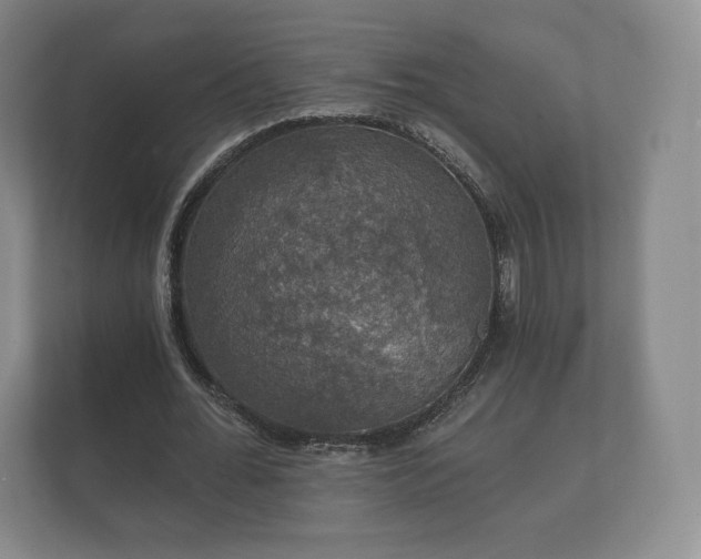 X0000112430676200908211201