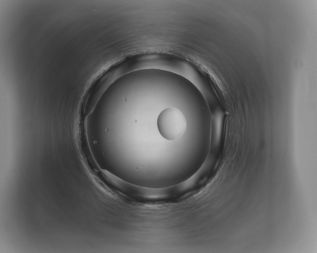 X0000112430677200908211201