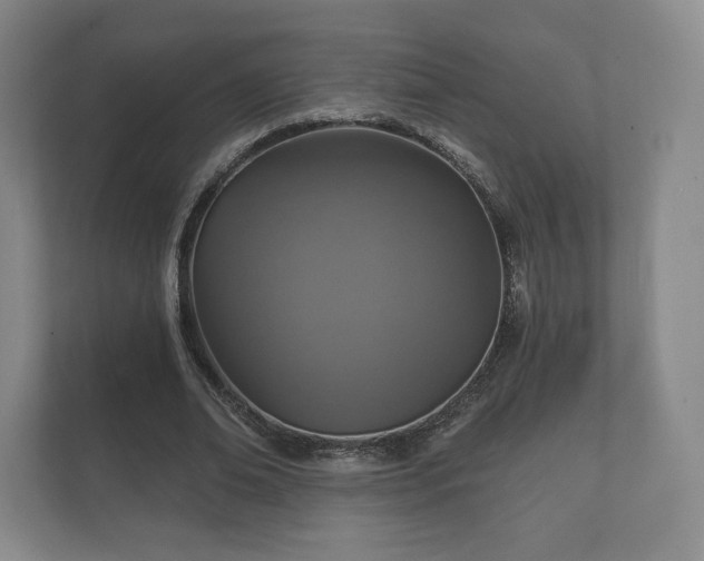 X0000112430678200908211201