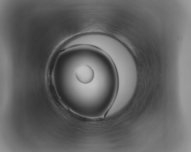 X0000112430680200908211201