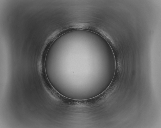 X0000112430682200908211201