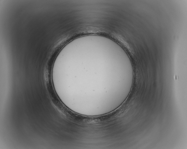 X0000112430683200908211201