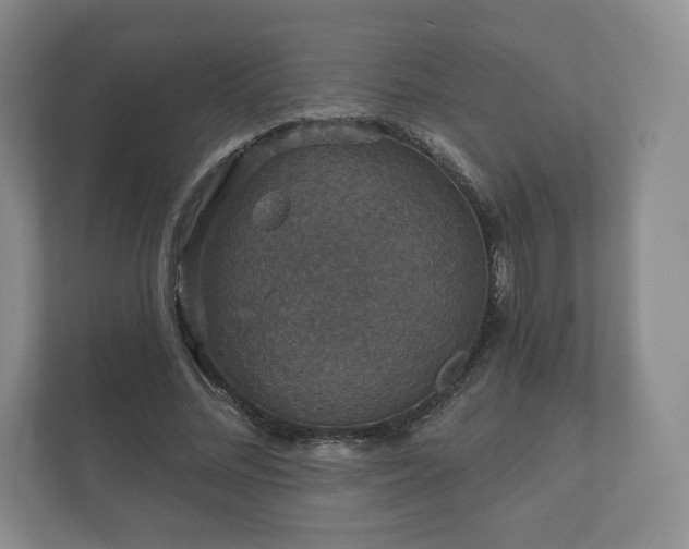 X0000112430684200908211201