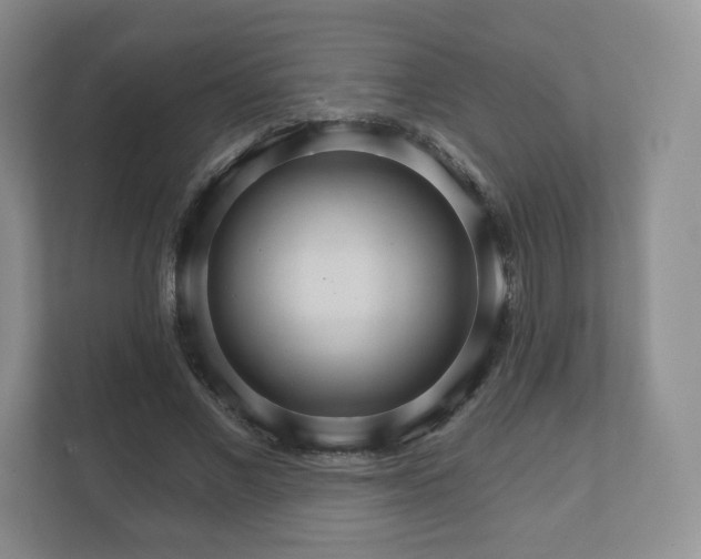 X0000112430685200908211201