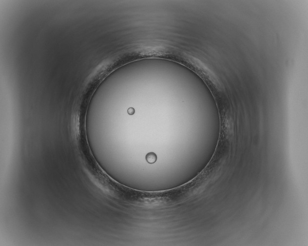 X0000112430686200908211201