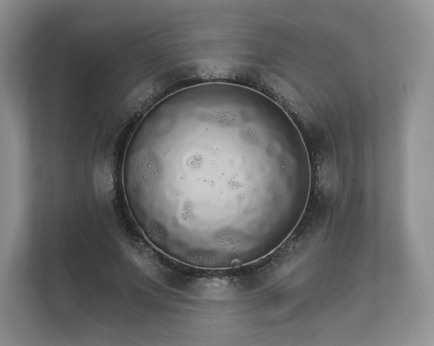 X0000112430687200908211201