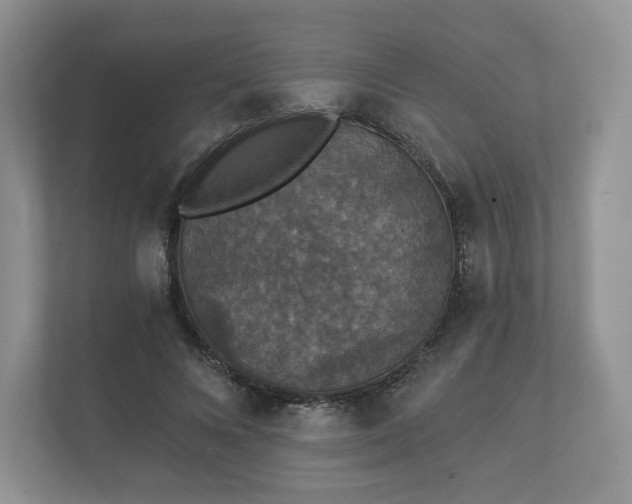 X0000112430688200908211201