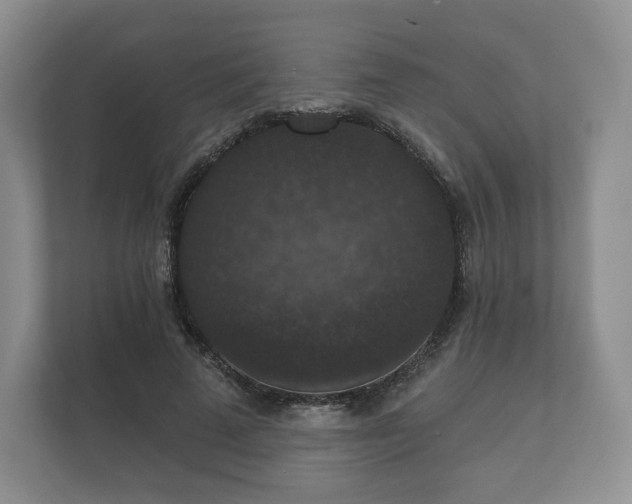 X0000112430689200908211201