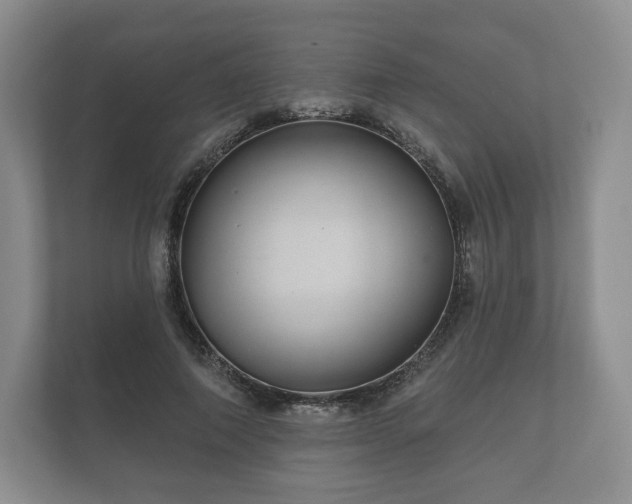 X0000112430690200908211201