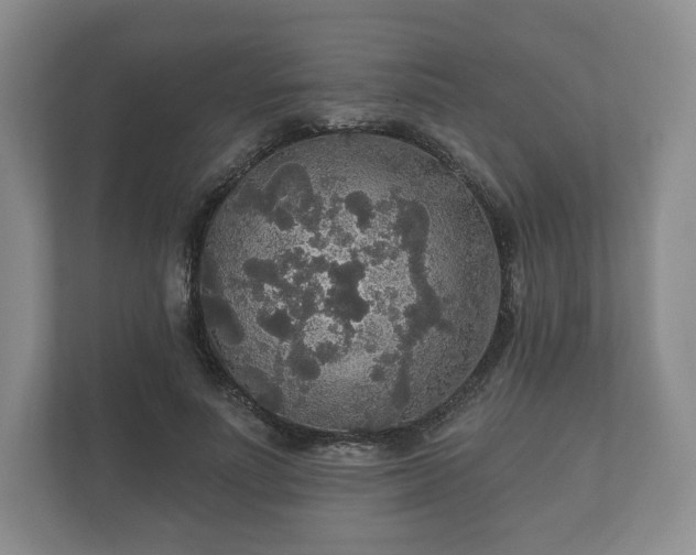 X0000112430691200908211201
