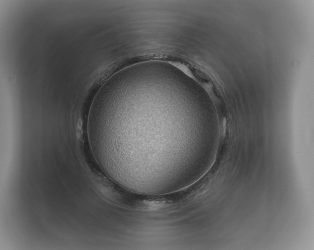 X0000112430693200908211201