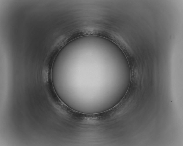X0000112430694200908211201