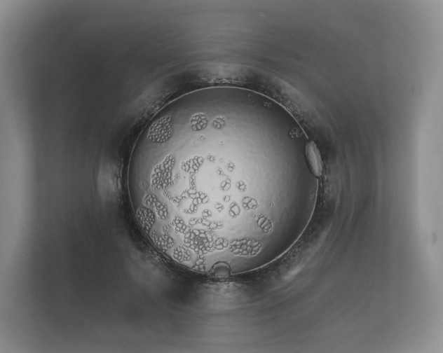 X0000112430695200908211201