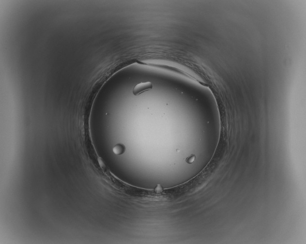 X0000112430696200908211201