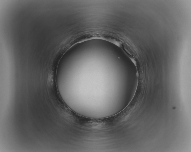 X0000112430697200908211201