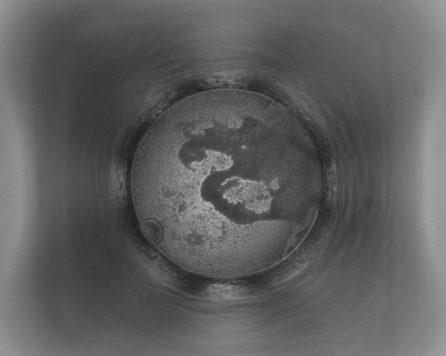 X0000112430699200908211201