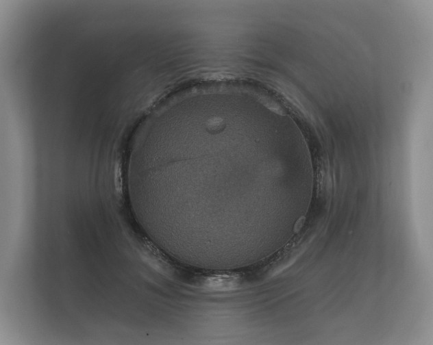X0000112430700200908211201