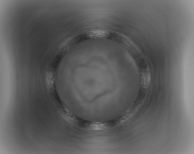 X0000112430701200908211201