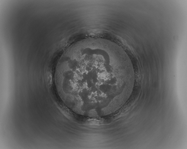 X0000112430703200908211200
