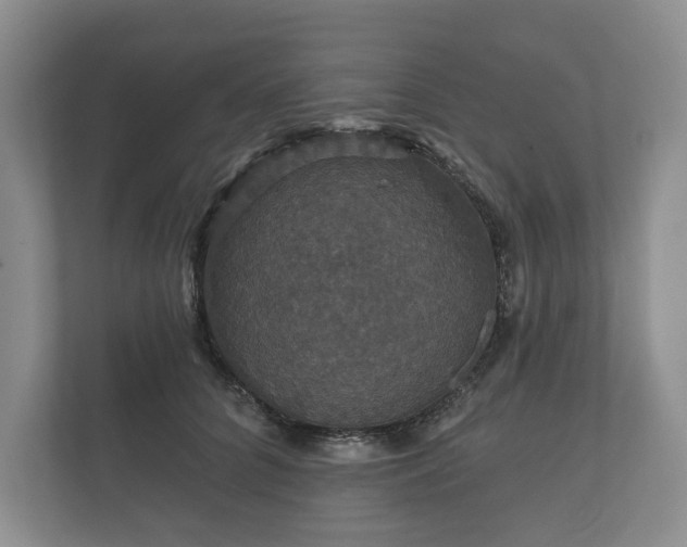 X0000112430704200908211200