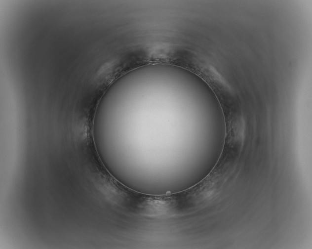 X0000112430706200908211200