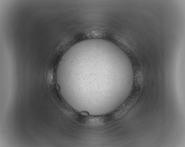 X0000112430709200908211200