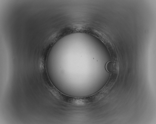 X0000112430710200908211200