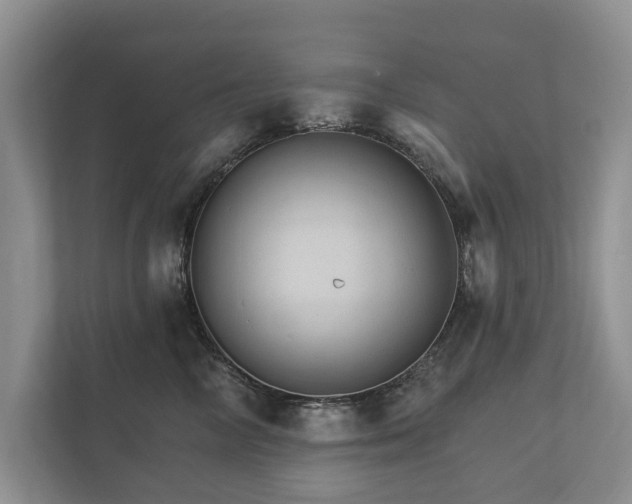 X0000112430714200908211200