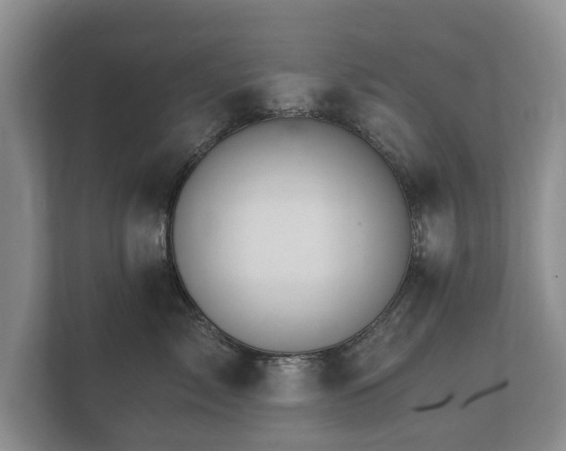 X0000112430717200908211200