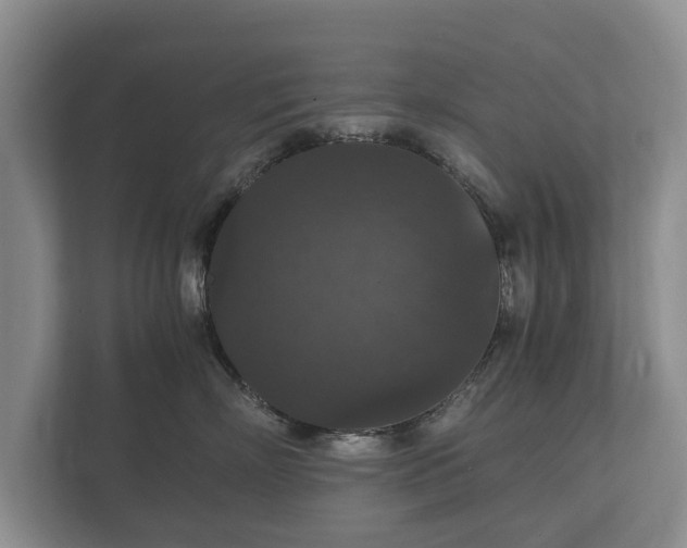 X0000112430718200908211200