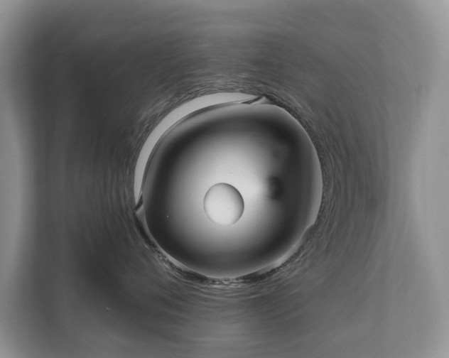 X0000112430720200908211200