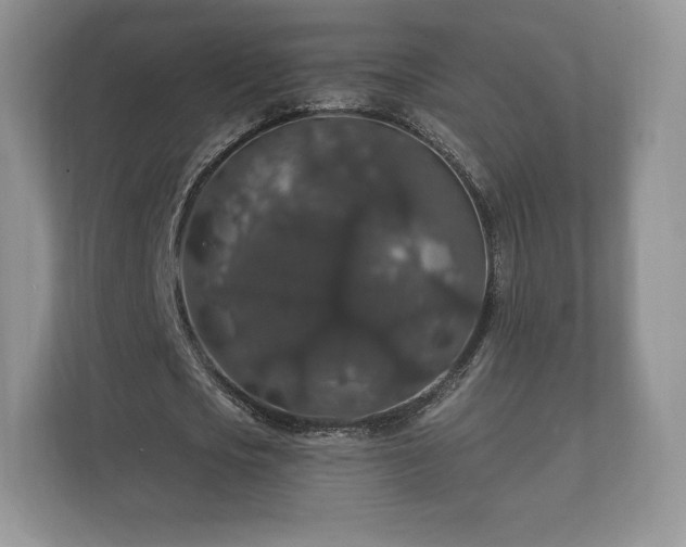 X0000112430721200908211200
