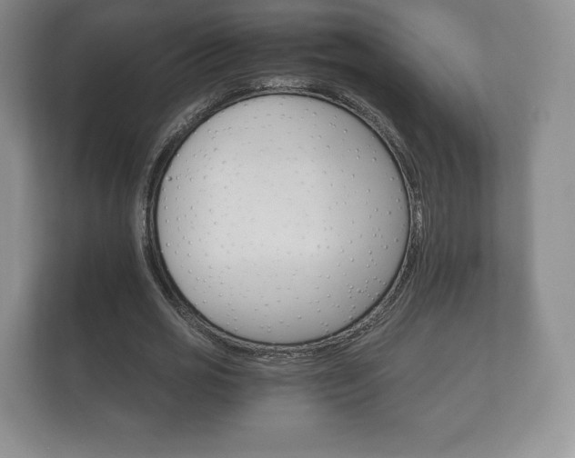 X0000112430725200908211200