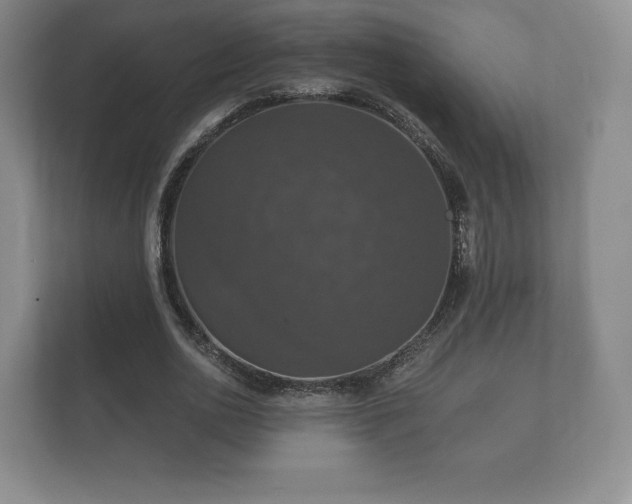 X0000112430726200908211200