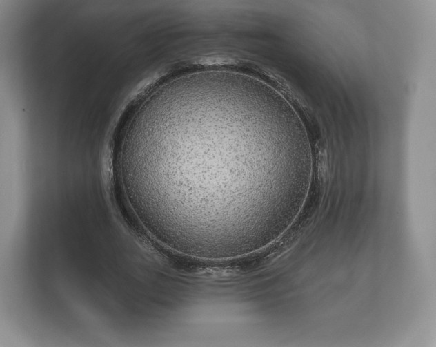 X0000112430727200908211200