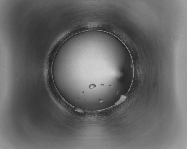 X0000112430728200908211200