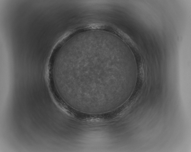 X0000112430730200908211200