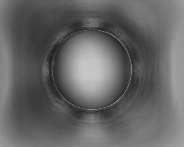 X0000112430731200908211200