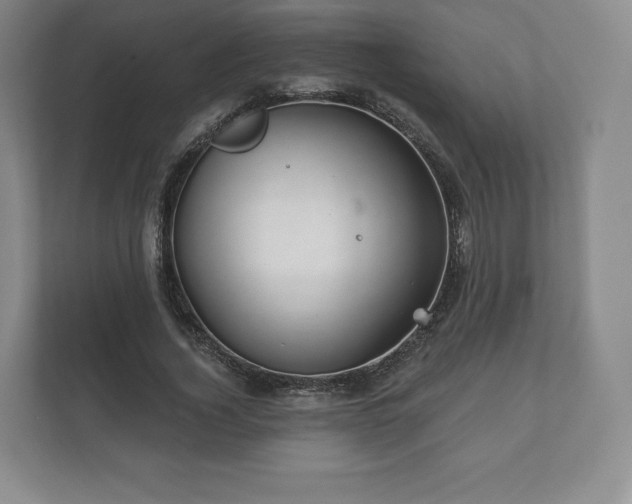 X0000112430732200908211200