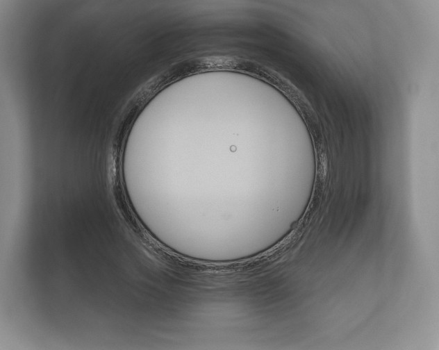 X0000112430733200908211200
