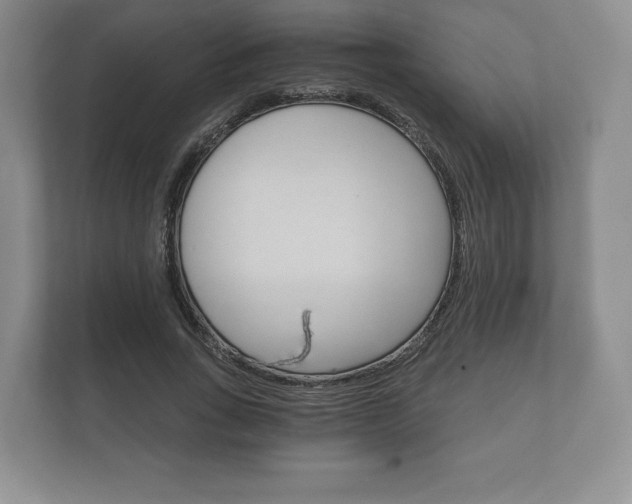 X0000112430735200908211200