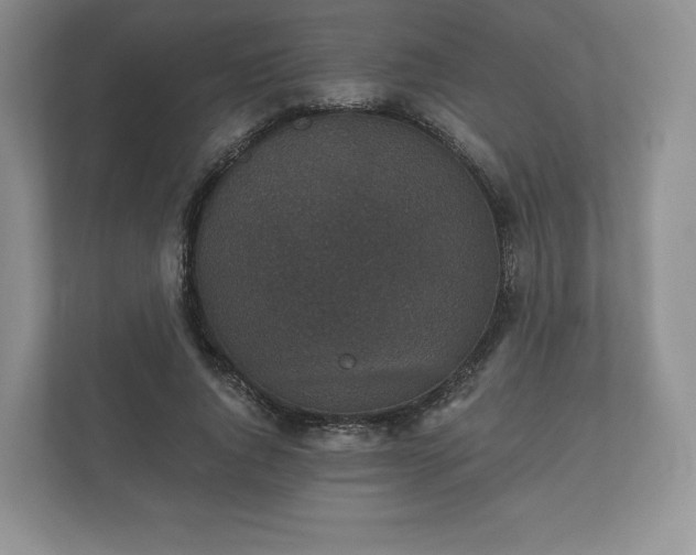 X0000112430736200908211200