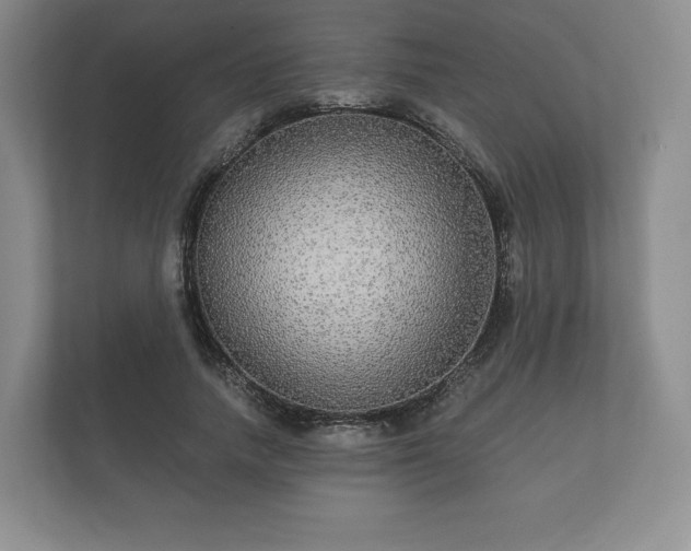 X0000112430738200908211200